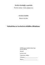 Research Papers 'Sabiedrības ar ierobežotu atbildību dibināšna', 1.