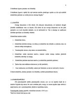 Research Papers 'Sabiedrības ar ierobežotu atbildību dibināšna', 9.