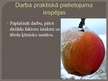 Research Papers 'Reducējošo cukuru un pektīnu saturs Talsu novada augļkopju audzētajos ābolos', 50.